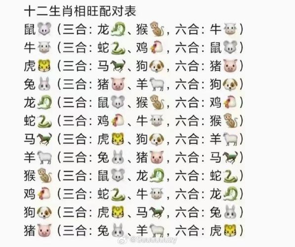 今期开什么生肖号码结果,今期开什么生肖动物视频2o19