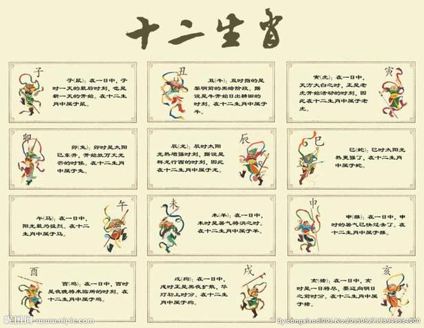夜打一生肖是什么,夜的生肖是哪几个肖