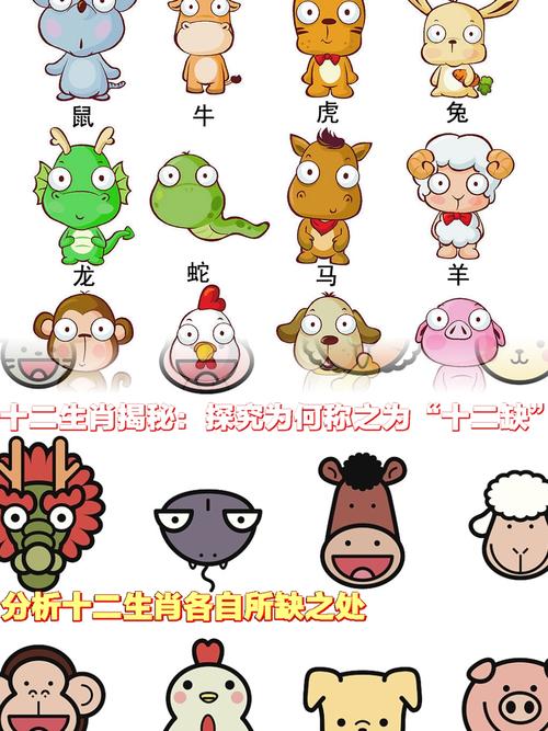 今期还是鸡中奖打生肖,今期还是哪猪中是什么生肖