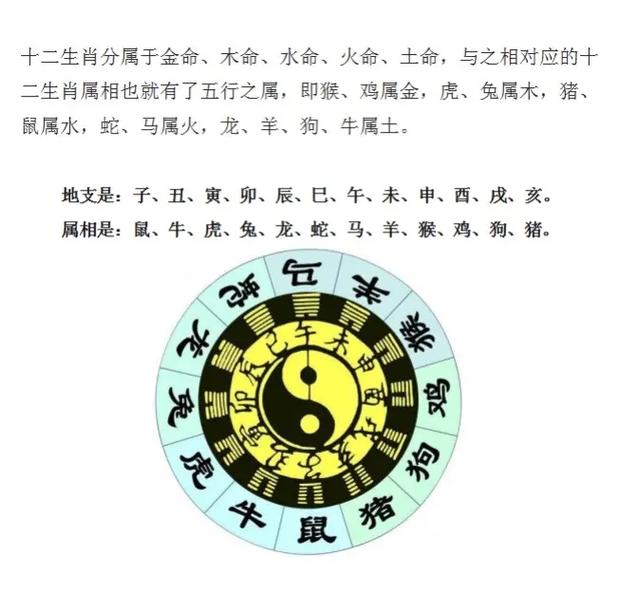 什么生肖寿命更长,什么生肖寿命更长呢