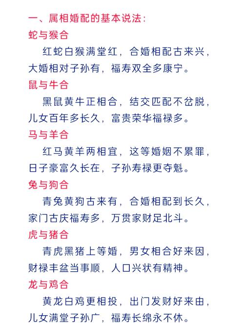说一不二打一生肖最佳答案是什么的简单介绍