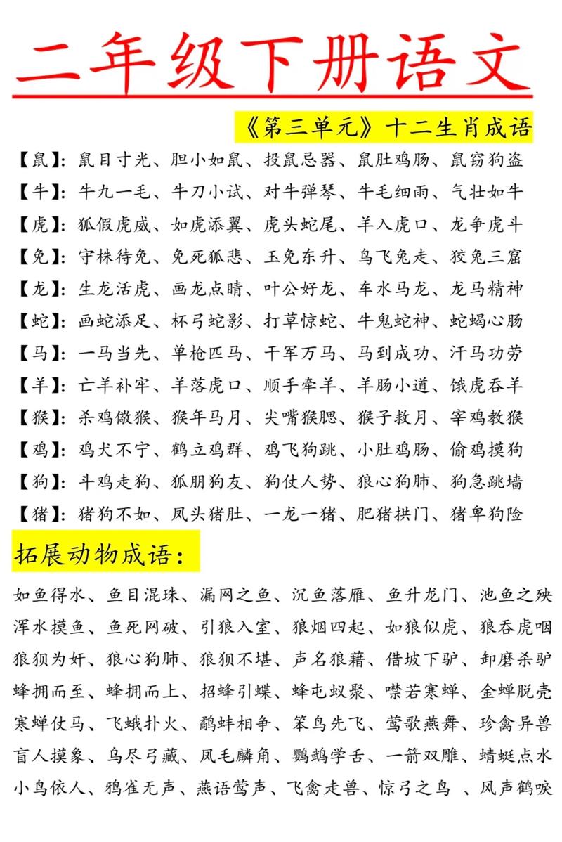 大小看打一最佳生肖,大的看小的用什么词语来形容