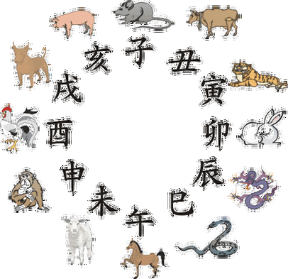 子午相冲打一数字,子午相冲是什么生肖动物