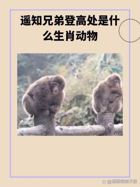 “今期牛鸡鼠出特，事事和顺一九福”打一准确动物生肖的简单介绍