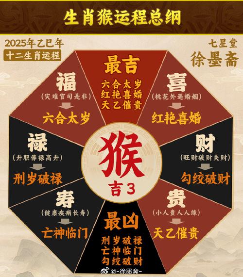 男猴与什么生肖最好,男猴与什么生肖最好相配