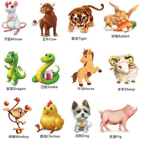 今期生肖是什么头色的生肖动物,今期生肖是什么头色的生肖动物呢