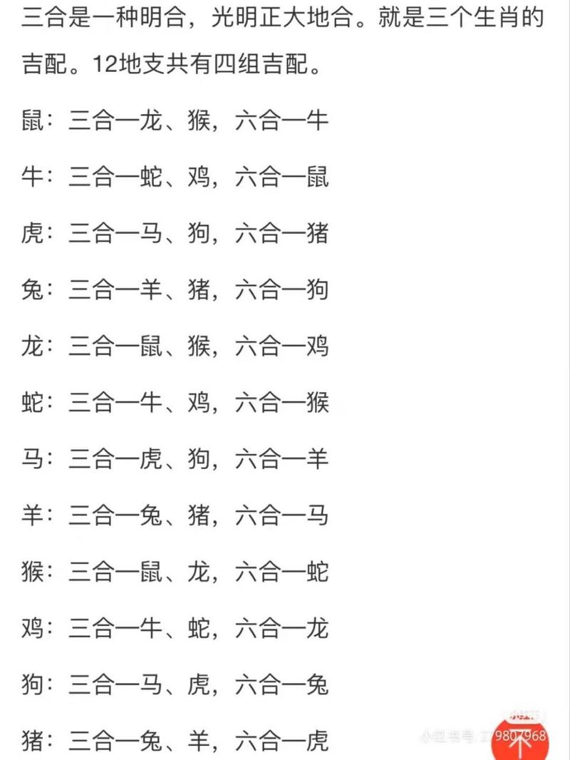今天开的是什么生肖,今天开的是什么生肖l
