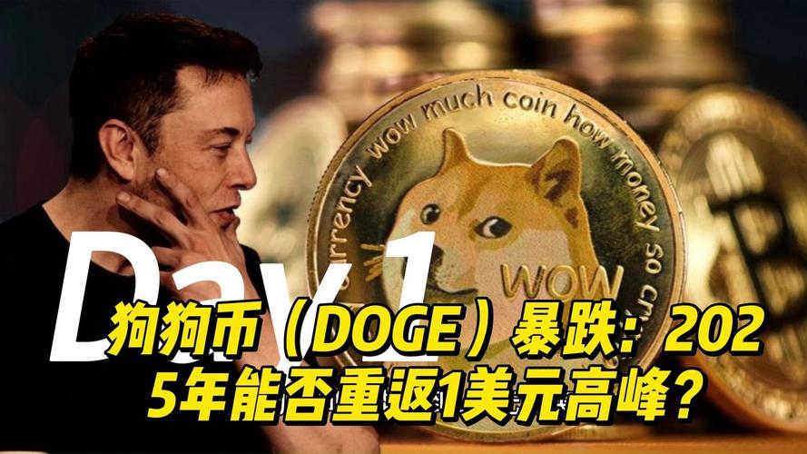 狗狗币的用户涨幅,狗狗币有没有上涨空间
