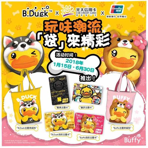 小黄鸭卡密购买,小黄鸭会员卡怎么办?