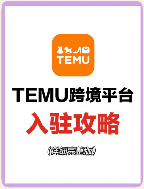 怎么进入tg频道,怎么进入temu卖家首页