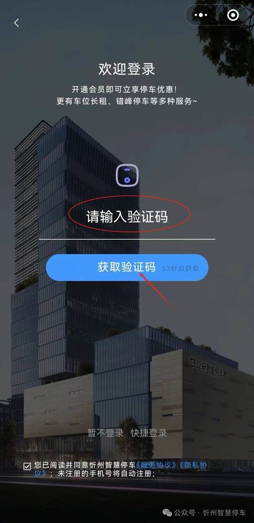 纸飞机号购买平台,纸飞机购买平台自动会有验证码出来