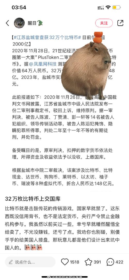 狗币大涨1000%,狗币会涨到1000吗