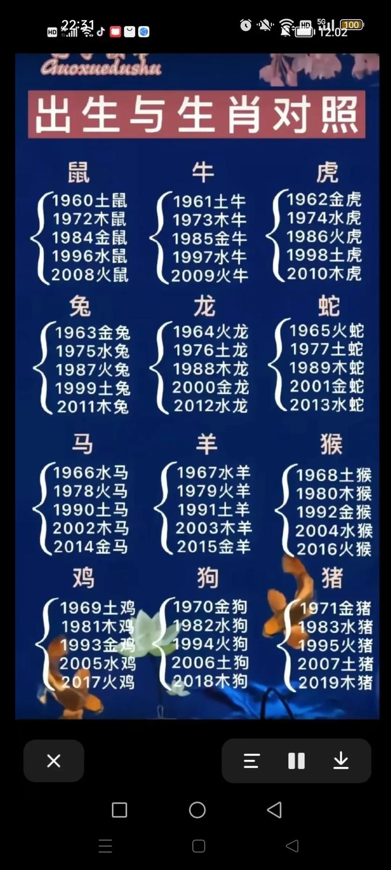 369数字代表生肖,369的数字代表什么