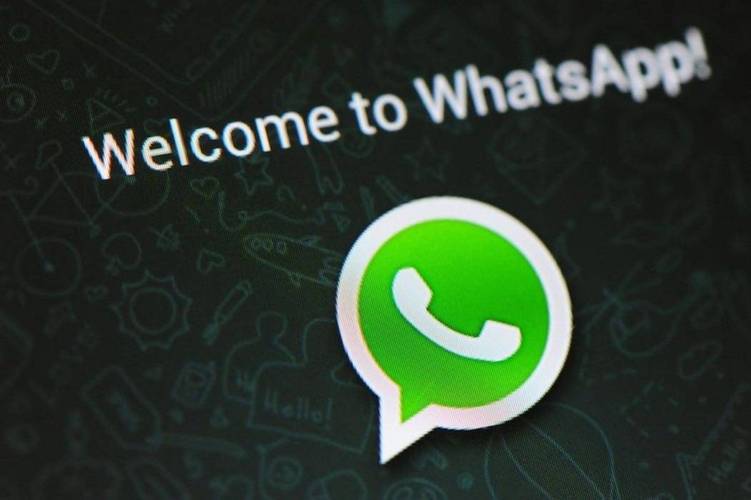 whatsapp安卓版下载知乎,whatsapp android download