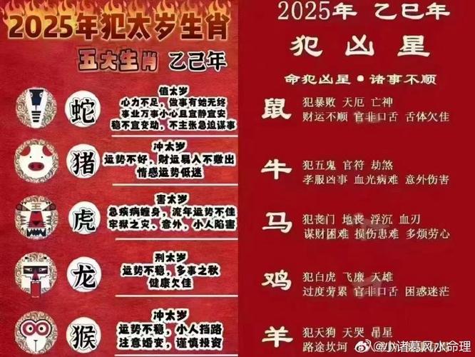三条蛇仔缠大猪是什么生肖,三条蛇仔缠大猪代表什么生肖