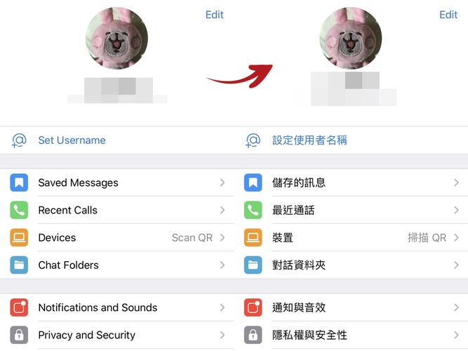 telegreat官网网址,telegreat苹果版下载