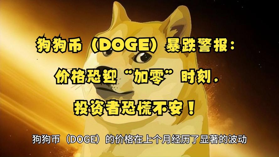 狗狗币今天的市场价格,狗狗币doge今日价格