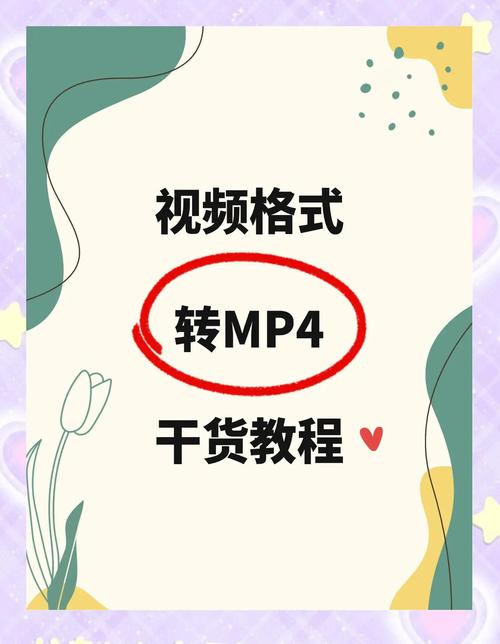 tg视频怎么打开,ts视频怎么打开