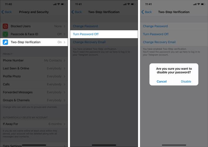 telegeram灰色版本官网,telegram latest version