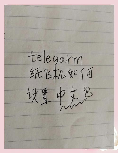 手机纸飞机中文语言包,手机纸飞机中文版怎么设置汉化