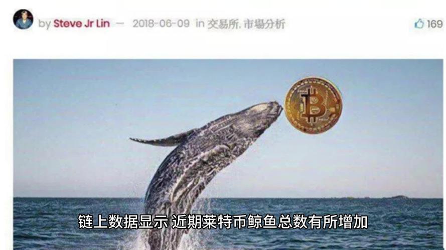 莱特币ltc挖矿教程,莱特币挖矿机多少钱一台