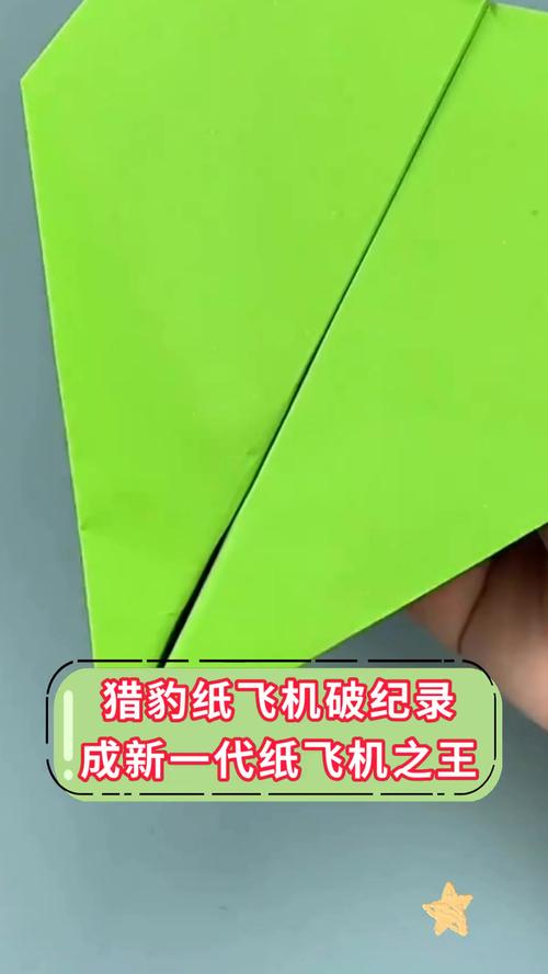 十大吉尼斯纪录纸飞机,十大吉尼斯纪录纸飞机猎豹