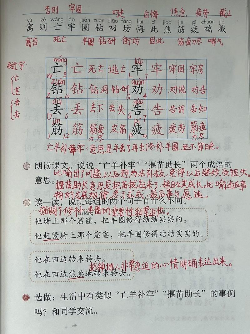 亡羊补牢也能发打一数字,亡羊补牢也能发是什么意思