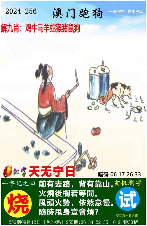 玄机三六是什么意思,玄机三六点代表什么生肖或数字