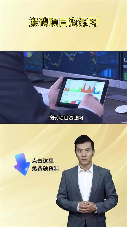 搬砖项目资源网,搬砖项目资源网站有哪些