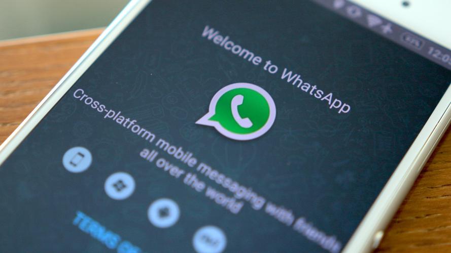 whatsapp国际短信开通,whatsapp发短信需要钱吗