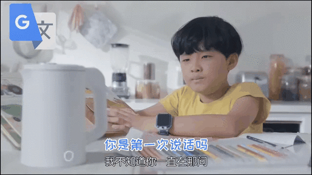 谷歌翻译20遍,少年游荡着谷歌翻译20遍