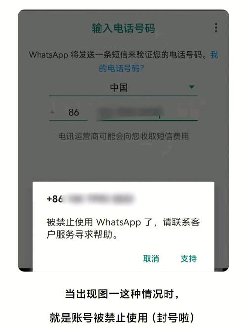 whatsapp被禁止使用原因,whatsapp账号被禁止不给解封怎么办