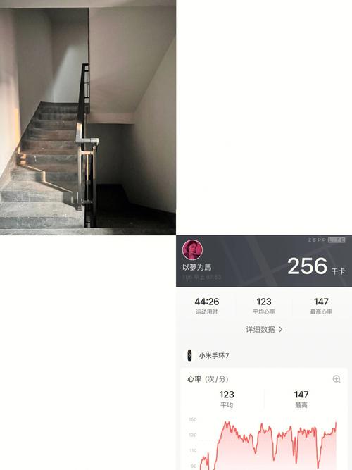 爬楼计数软件,检测爬楼梯app