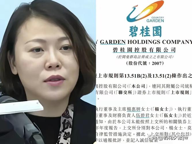碧桂园服务借给杨惠妍10亿元的简单介绍
