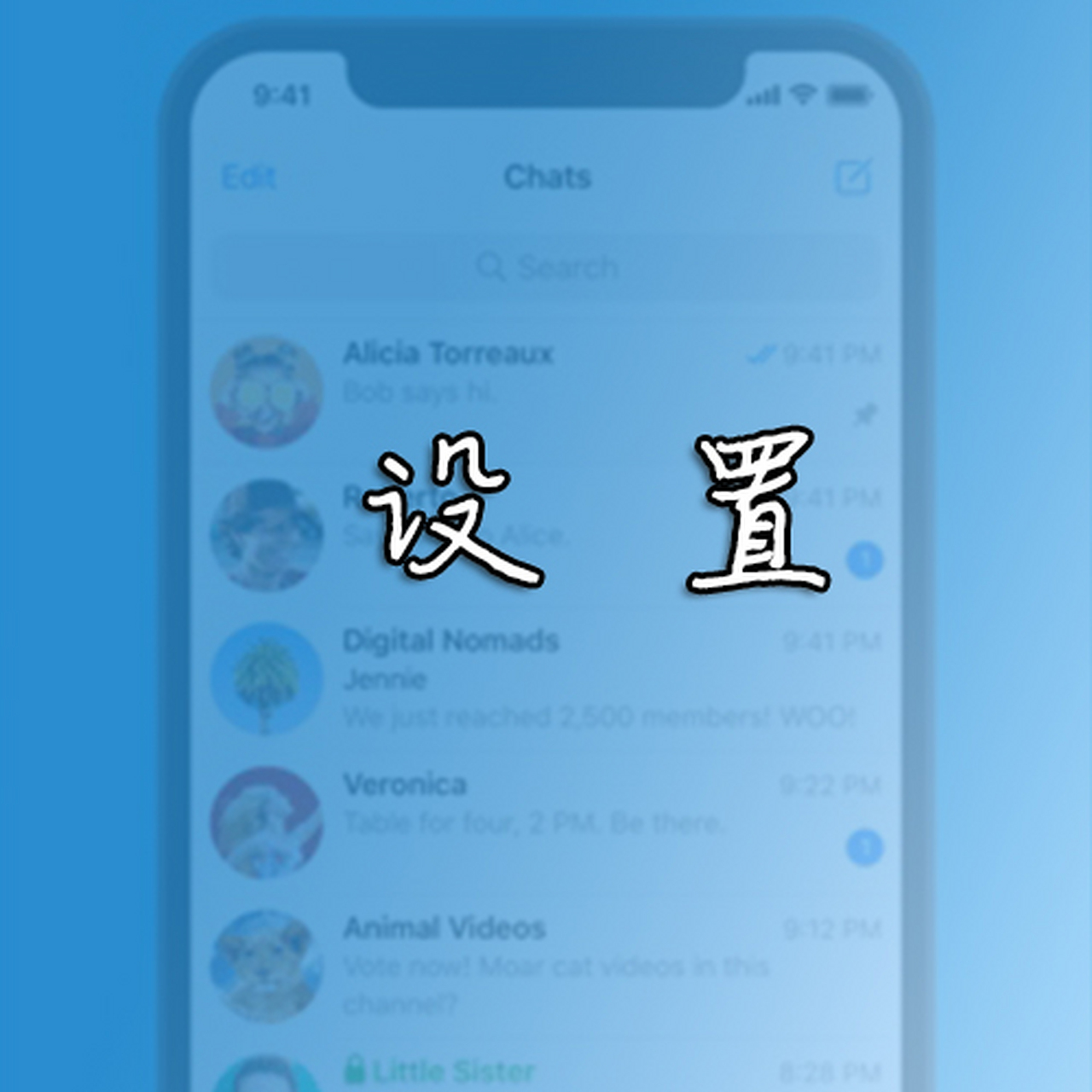 纸飞机苹果版怎么更换中文-iphone纸飞机怎么设置中文