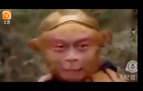 电报猴动态表情包-电报猴原视频没有电音