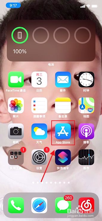 飞机下载中文版苹果手机怎么下载-飞机下载中文版苹果手机怎么下载不了