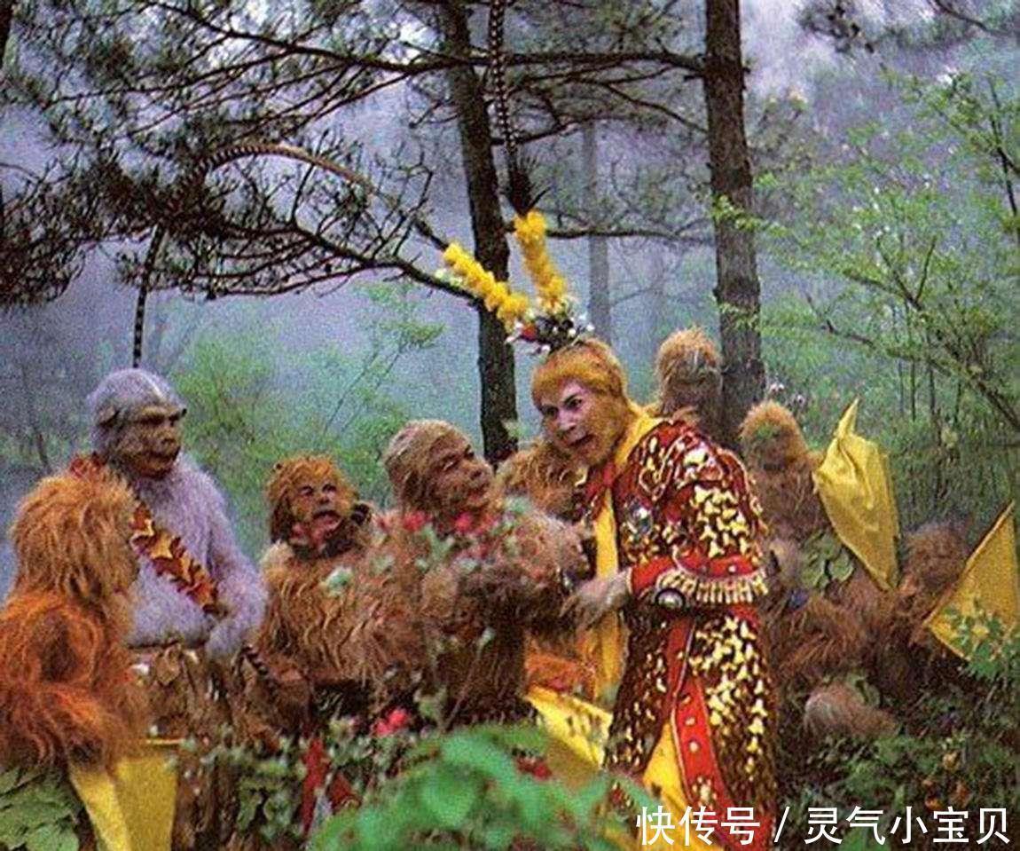 花果山电报猴的视频的简单介绍