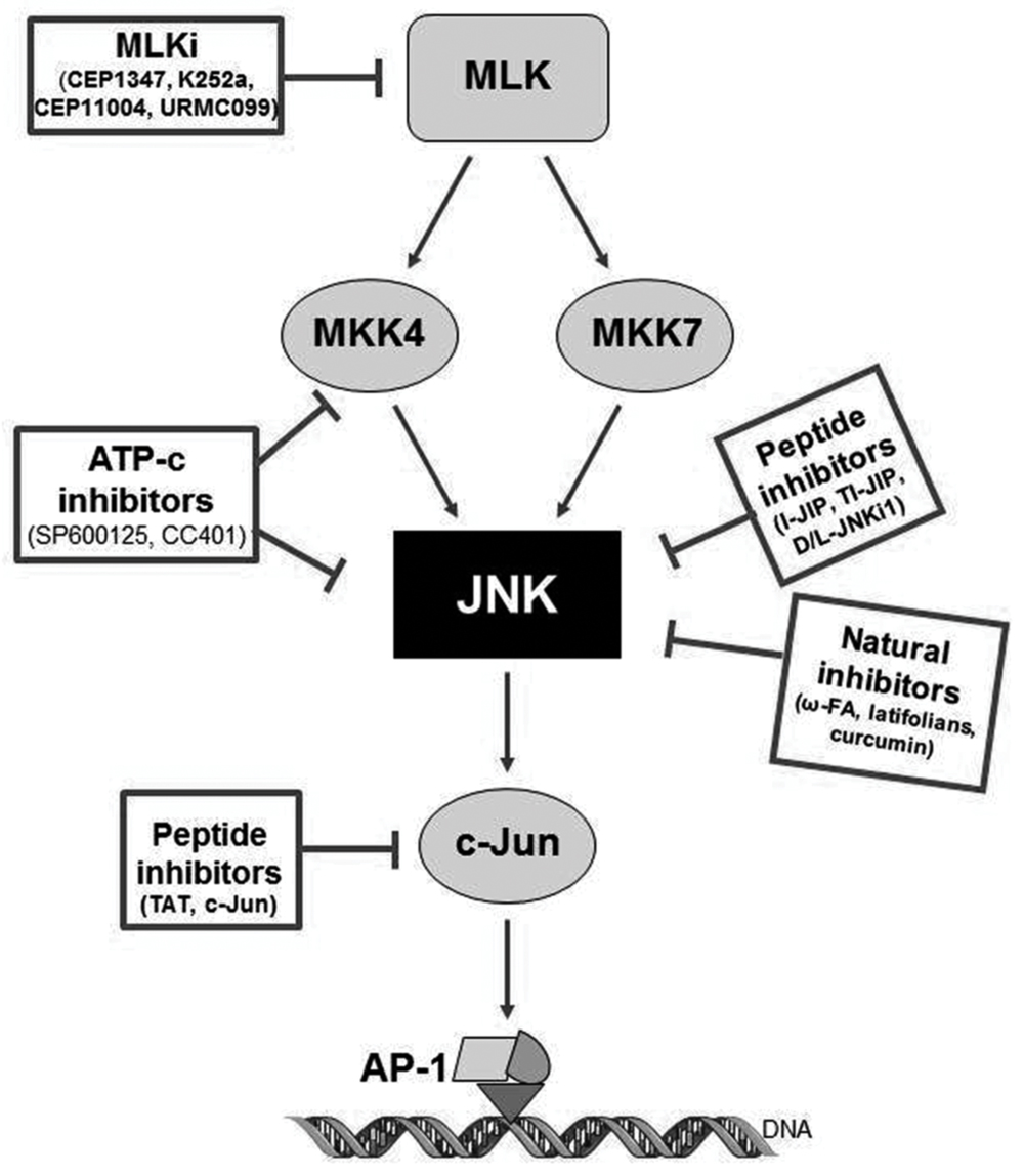 as2in1怎么注册-as2in1怎么用中国手机号注册