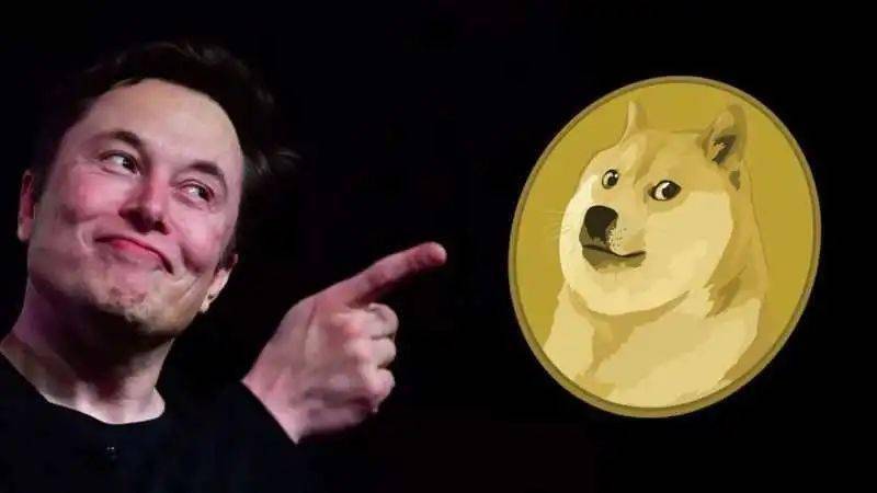 2019年狗狗币价格-2019狗币的今日价格