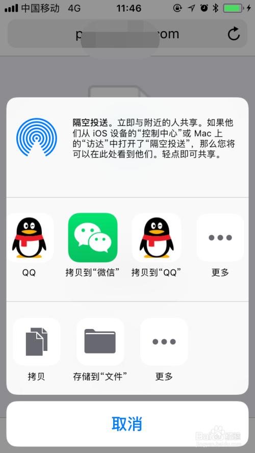 苹果手机怎么下载飞机聊天软件-苹果手机下载飞机聊天软件视频教程