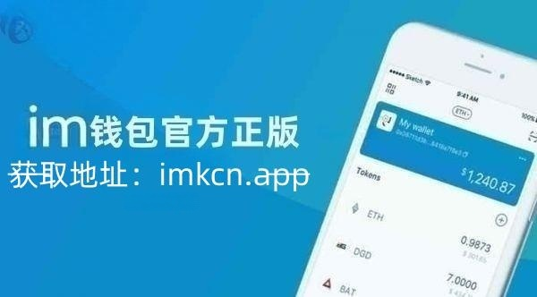 IM钱包是什么意思-im钱包是哪个国家的