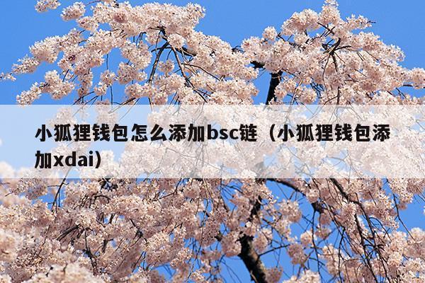 小狐狸钱包安卓网页版-小狐狸钱包app使用方法