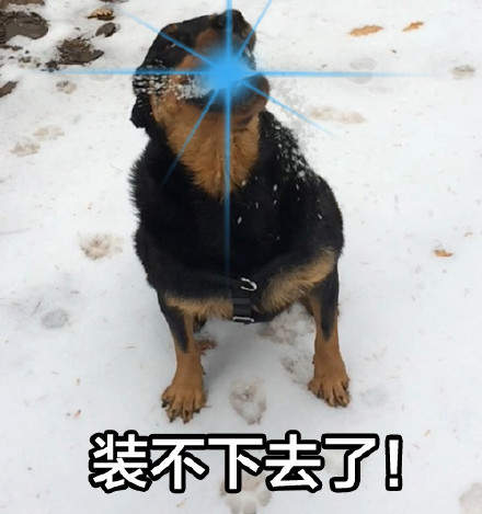 电报员口吐芬芳音乐的简单介绍