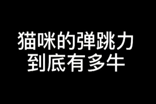 电报员口吐芬芳完整的简单介绍