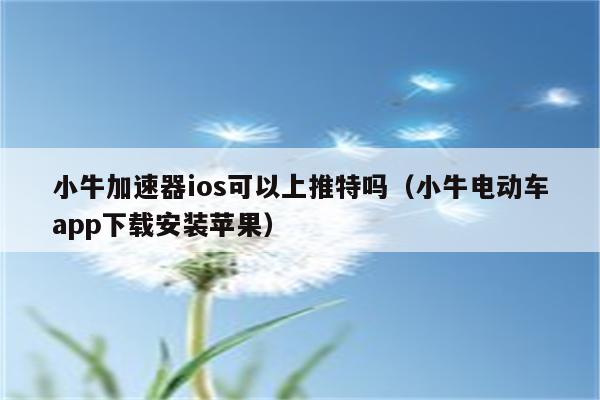 小牛加速器安卓版下载-小牛加速器安卓版下载安装