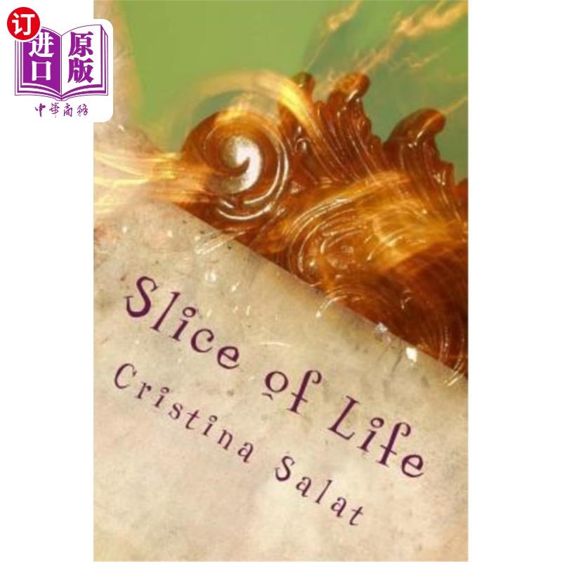 slice-slicer是什么软件