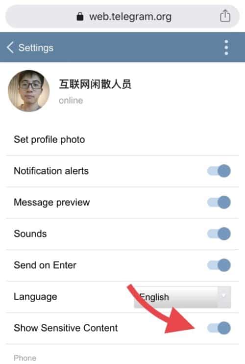 Telegram频道限制-telegram频繁要限制多久