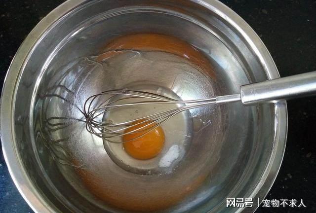 小狐狸钱包打不开薄饼-小狐狸钱包打不开薄饼怎么回事