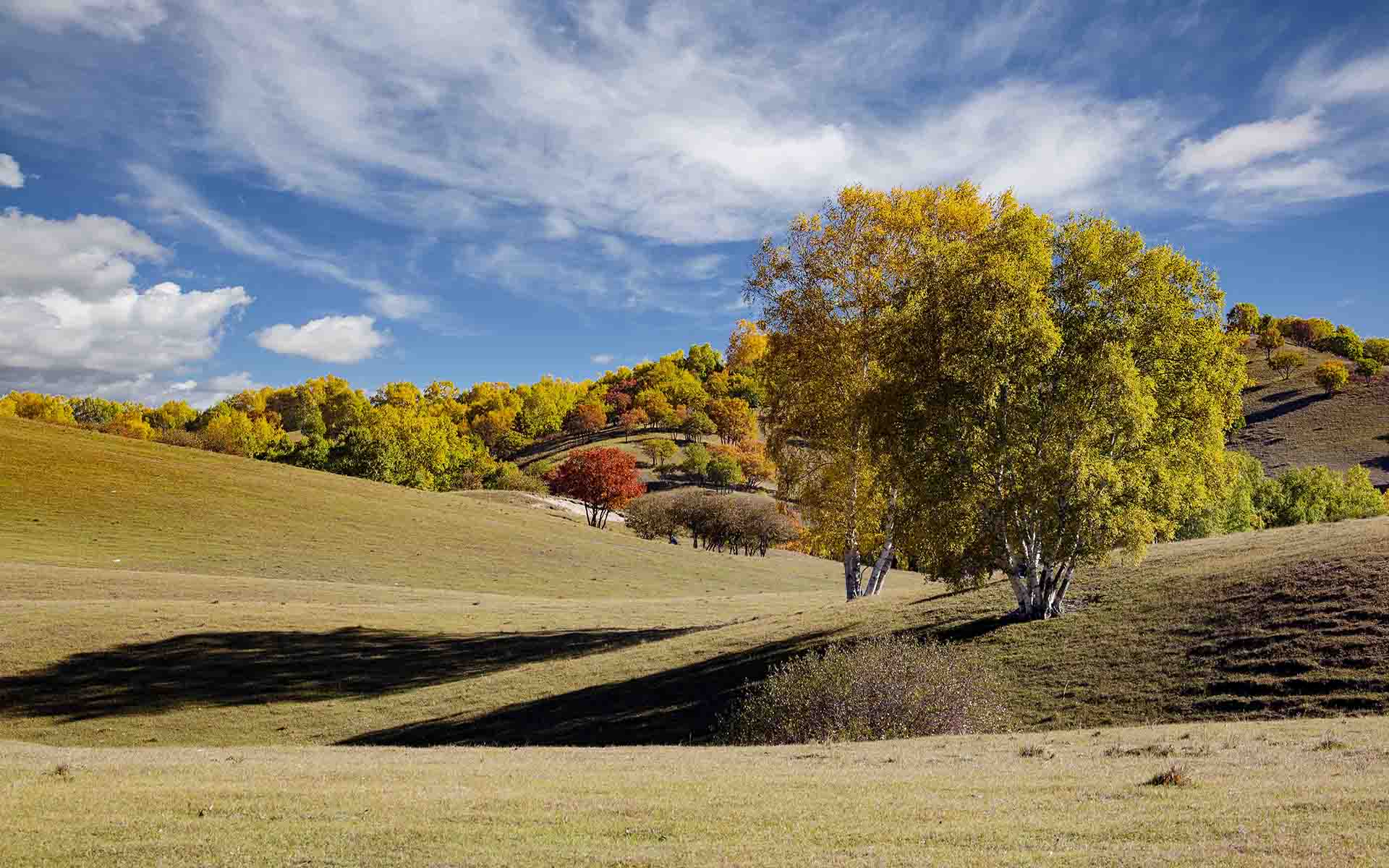 landscape的意思-landscapes是什么意思英语